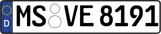 MS-VE8191