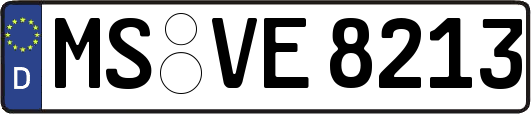 MS-VE8213
