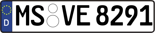 MS-VE8291