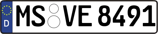 MS-VE8491