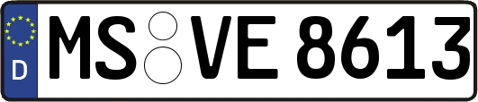 MS-VE8613