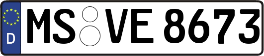 MS-VE8673