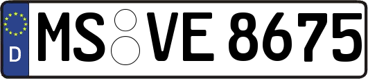 MS-VE8675