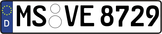 MS-VE8729
