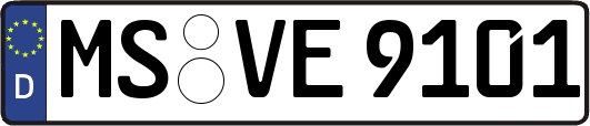 MS-VE9101