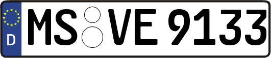 MS-VE9133
