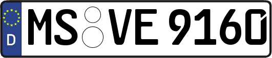 MS-VE9160