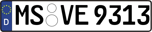 MS-VE9313