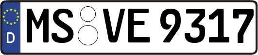MS-VE9317