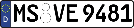 MS-VE9481