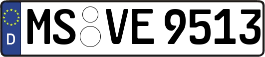 MS-VE9513