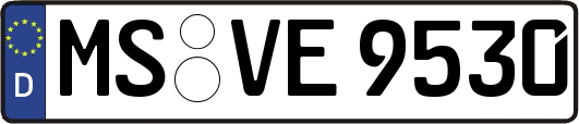 MS-VE9530