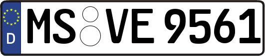 MS-VE9561