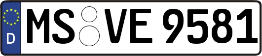 MS-VE9581