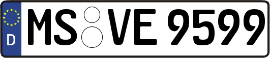 MS-VE9599