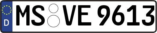 MS-VE9613