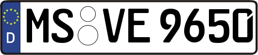 MS-VE9650