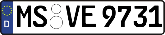MS-VE9731