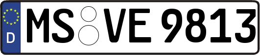 MS-VE9813
