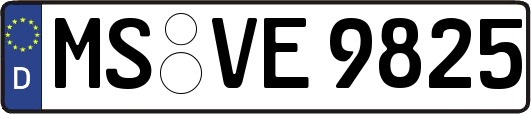 MS-VE9825