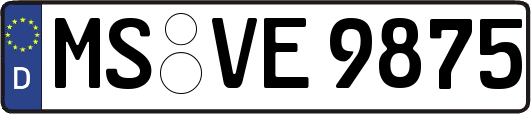 MS-VE9875