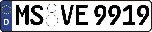 MS-VE9919