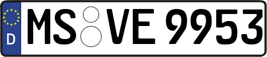 MS-VE9953