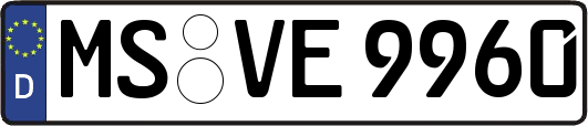 MS-VE9960
