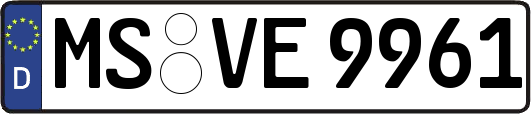 MS-VE9961