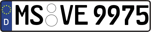 MS-VE9975