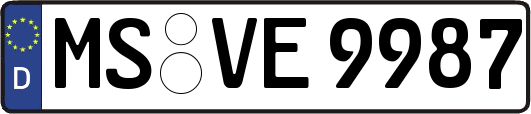 MS-VE9987