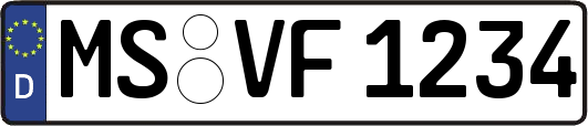 MS-VF1234