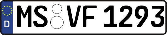 MS-VF1293