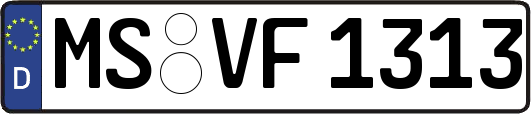 MS-VF1313