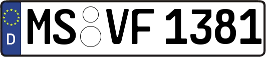 MS-VF1381