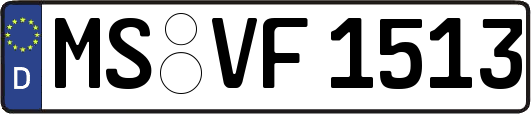 MS-VF1513