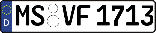MS-VF1713
