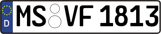 MS-VF1813