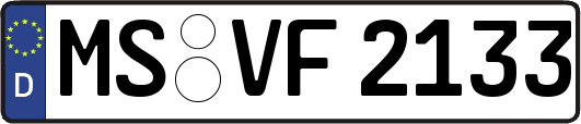 MS-VF2133