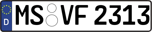 MS-VF2313