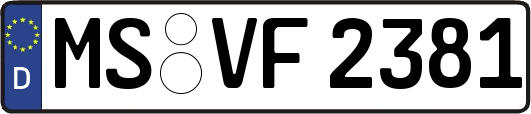 MS-VF2381