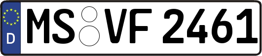 MS-VF2461