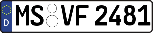 MS-VF2481