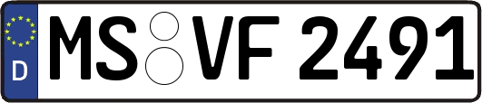 MS-VF2491