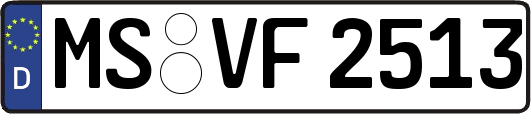 MS-VF2513