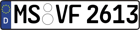 MS-VF2613