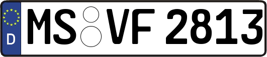 MS-VF2813