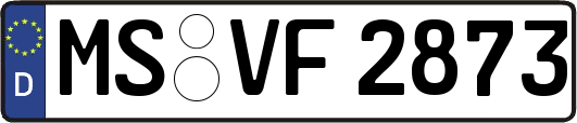 MS-VF2873