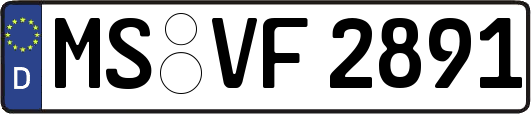 MS-VF2891