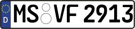 MS-VF2913
